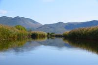 246 Bootsfahrt im Neretvadelta