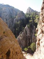 Felsen