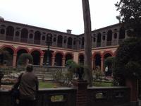 Lima (14)
