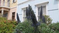 Valparaiso (27)