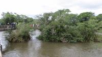 Iguazu Argentinien (8)