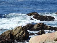 Pebble Beach - 17 Mile Drive