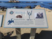 Pebble Beach - 17 Mile Drive