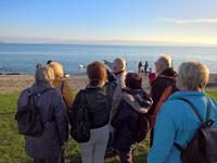 Blick über den Bodensee zu den Schweizer Bergen.