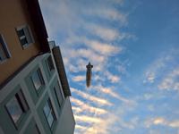 ... und nochmal ein Zeppelin am Himmel von Friedrichshafen.