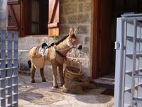 Taverne Yiannis