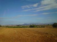 Tiefebene Nordzypern