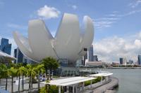 Singapur - The Orchid