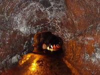 Inselrundfahrt auf Big Island - im Inneren der 