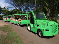 Maui, tropische Plantage, Rundfahrt durch die Plantage