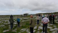 078 Irland - im Burren