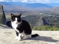 Blick von den Meterorafelsen nach Südwesten