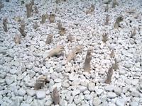  Werk von Anni Kaltsidou im Museum Thessaloniki