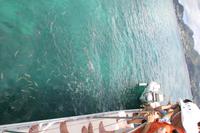 Katamaran Ausflug nach Moyenne Island & St. Anne Marine N.P.