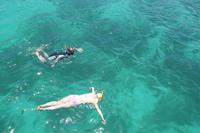 Katamaran Ausflug nach Moyenne Island & St. Anne Marine N.P.