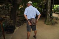 Vallée De Mai Nationalpark - Praslin