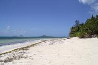 Vallée De Mai Nationalpark - Praslin