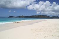 Rundgang auf Cousin Island