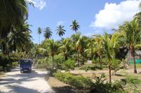 Kokosnussplantage / Kolonialhaus - La Digue