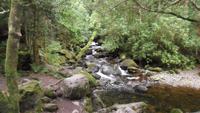 122 Irland - Muckross-Wasserfall 1