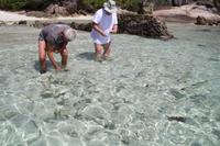 Fische am Strand von Grand Sister Island