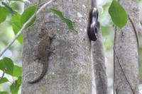 Rundgang auf Aride Island