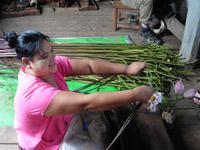 Herstellung Lotusfäden