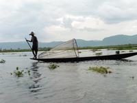 Einbeinfischer auf dem Inlesee