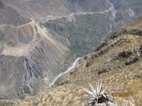 136_Das Colca Tal - Kleine Wanderung