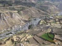126_Das Colca Tal - Anbaukultur auf Terrassen