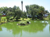Im St.-Katharina-Park in Funchal