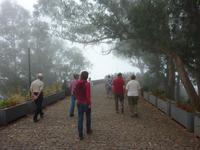 Am Cabo Girao