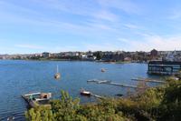 Blick auf Puerto Varas