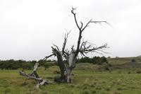 Torres del Paine Nationalpark