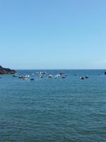 Fischerboote in Camara de Lobos
