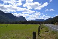 Fahrt von Te Anau zum Milford Sound