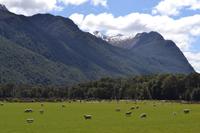 Fahrt von Te Anau zum Milford Sound