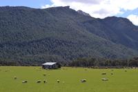 Fahrt von Te Anau zum Milford Sound