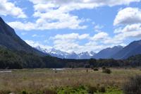 Fahrt von Te Anau zum Milford Sound