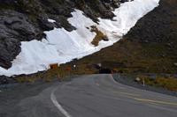 Warten vor dem Homer Tunnel