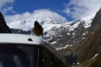 Blinder Passagier auf dem Dach unseres Busses