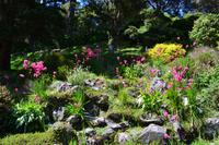 Wellington - Botanischer Garten