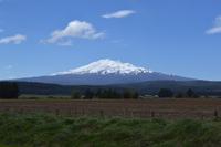 Blick zum Vulkan Mount Ruapehu