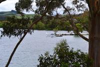 Wasserflugzeug am Lake Taupo