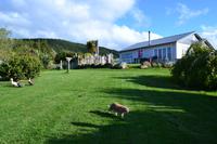 Übernachtung bei einer Gastfamilie auf einer Farm