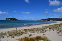 Strand bei Whangamata