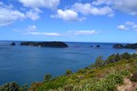 Coromandel-Halbinsel - Wanderung zur Cathedral Cove