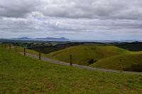 Auf der Fahrt nach Paihia