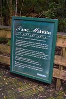 Waipoua Kauri Forest - Tane Mahuta, der Herr des Waldes