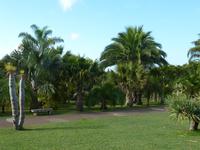 Im Botanischen Garten von Madeira
